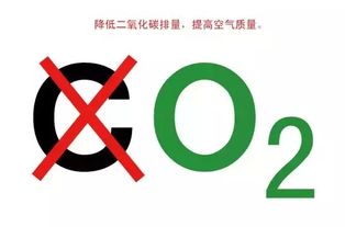 夜晚關窗睡覺原來危害這么大